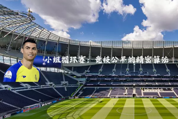 小组循环赛：竞技公平的精密算法